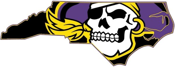 East Carolina Pirates 2004-2013 Alternate Logo diy iron on heat transfer